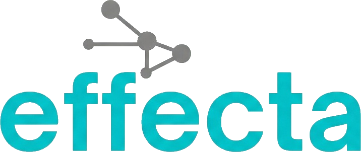 Effecta | Causal AI Pricing